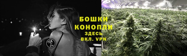 индика Белоозёрский