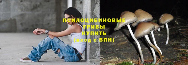 индика Белоозёрский